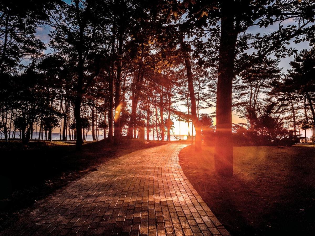 Ifa Ruegen Hotel & Ferienpark Binz Kültér fotó